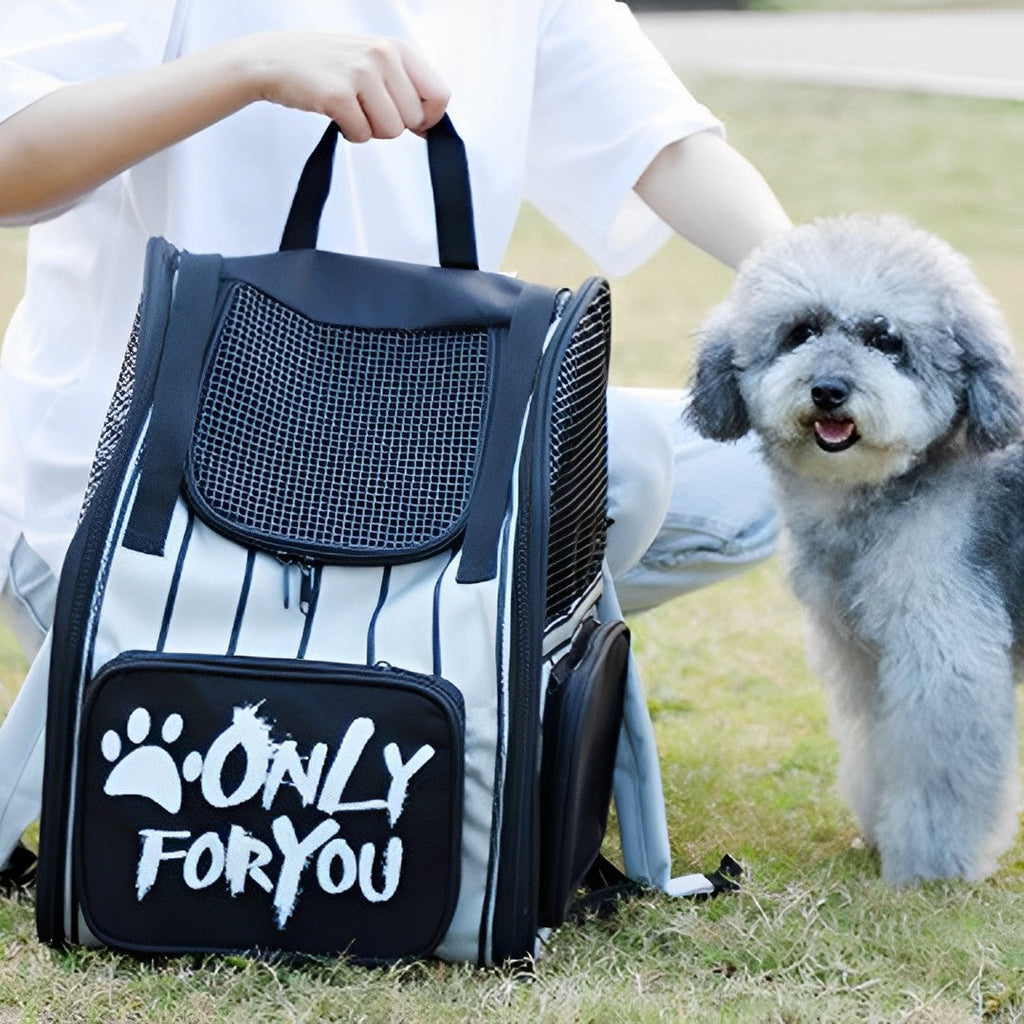 NNEAGS 2X Black Pet Carrier Backpack Breathable Mesh Portable Safety Travel Essentials Outdoor Bag-1