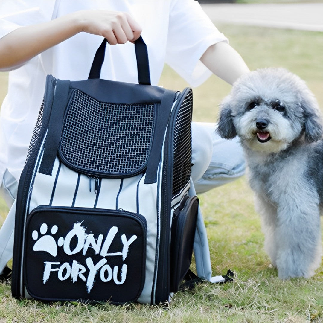 NNEAGS 2X Black Pet Carrier Backpack Breathable Mesh Portable Safety Travel Essentials Outdoor Bag-1