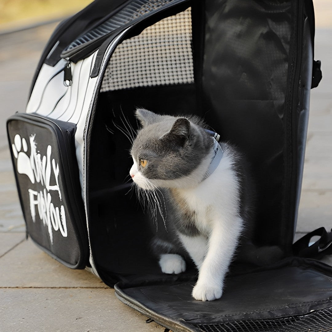 NNEAGS 2X Black Pet Carrier Backpack Breathable Mesh Portable Safety Travel Essentials Outdoor Bag-3