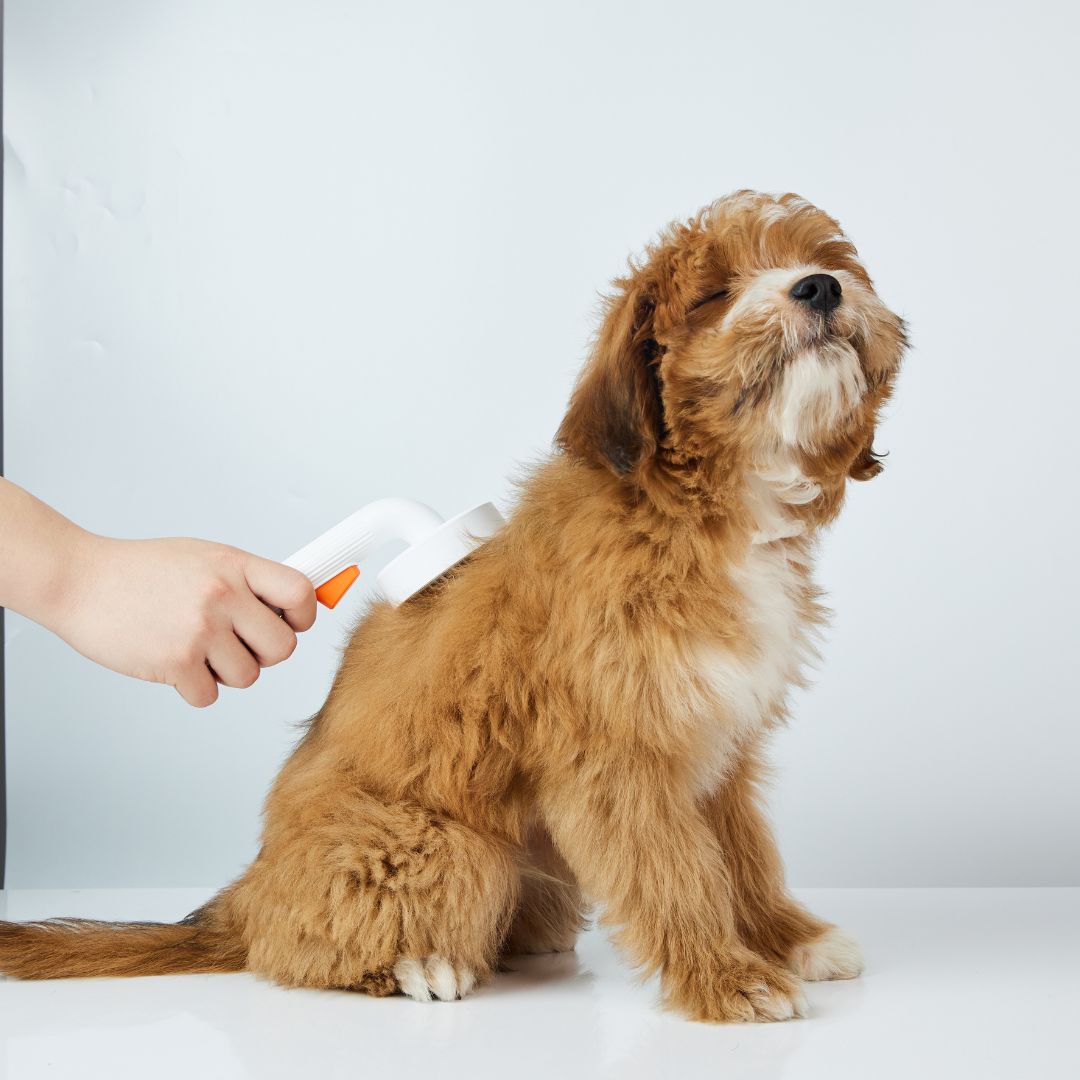PETKIT Grooming Brush