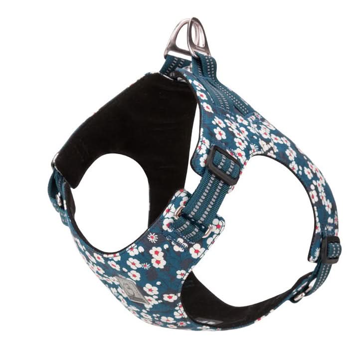 True Love Floral Doggy Harness - Blue, S