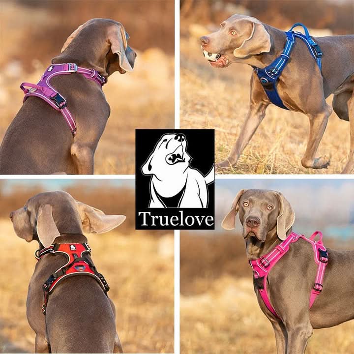 True Love No Pull Explosion Proof Dog Harness - Brown, M-2
