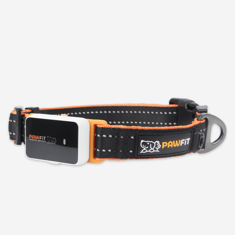Pawfit 3 Collar Medium-1